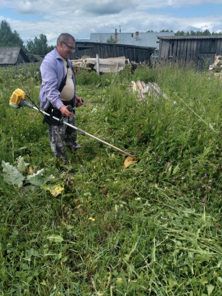 Деятельность социальных работников